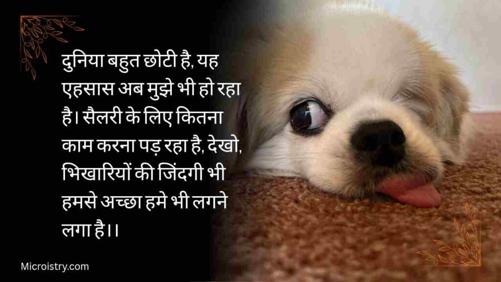 The Best & Funniest Funny Shayari For All Of You: हँसी और मस्ती का असली तड़का 2.O 1 Enjoy the best collection of funny shayari that will make you laugh out loud. Perfect for sharing smiles, jokes, and light-hearted moments with friends.