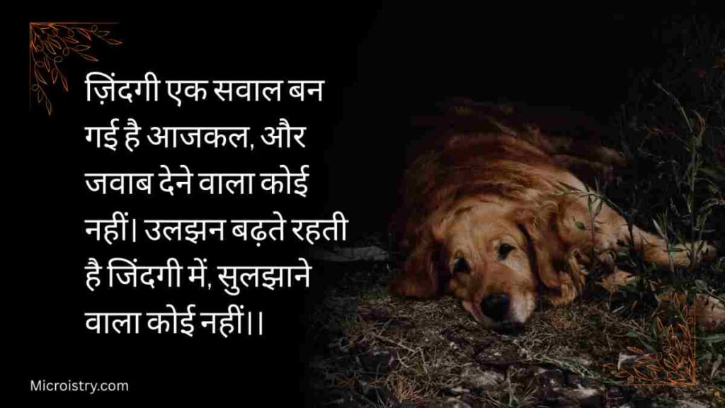 Best 10+ Sad Life Shayari 2026: ज़िंदगी के वो दर्द जो Words में भी रो पड़े 1 Sad Life Shayari 2026 brings deep emotions, broken dreams, और ज़िंदगी के वो दर्द जो दिल को छू जाएँ और ख़ामोशी में महसूस हों।